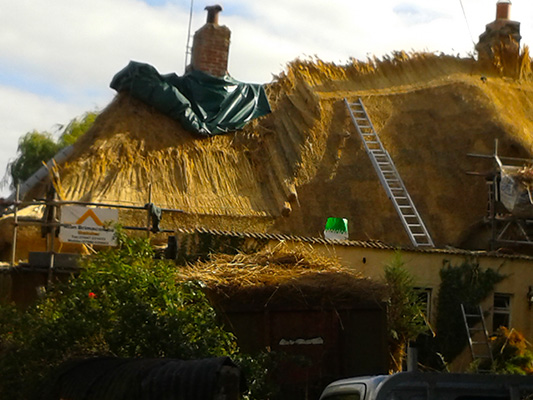 Water Reed Thatching Method