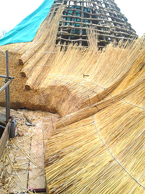 Water Reed Thatching Method