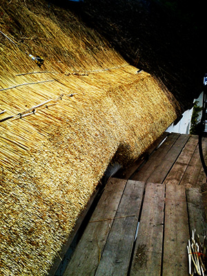 Wheat Reed Thatching Method